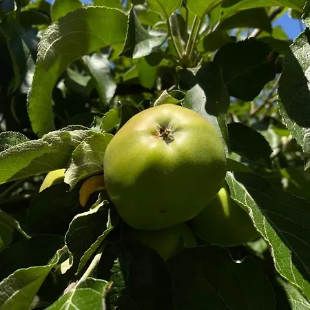 Appartement Bakel Gerard *