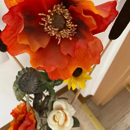 Appartement Bakel Gerard *