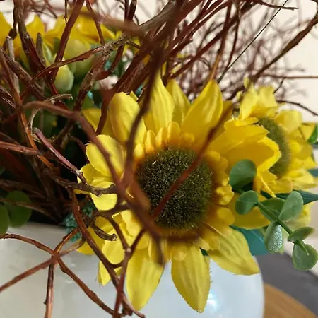 Bakel Gerard Apartman