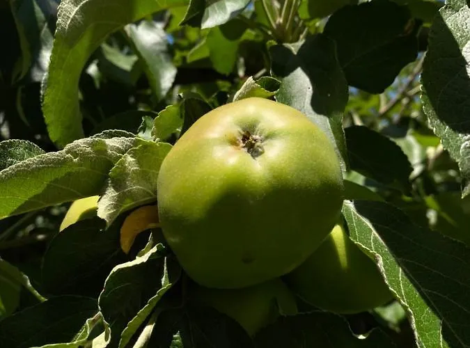 Lejlighed Bakel Gerard *