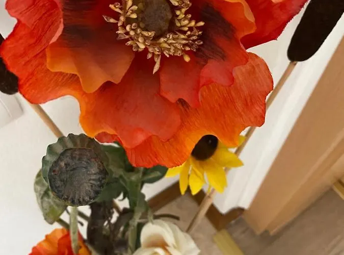 アパート Bakel Gerard *