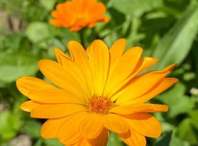 Lejlighed Bakel Gerard *