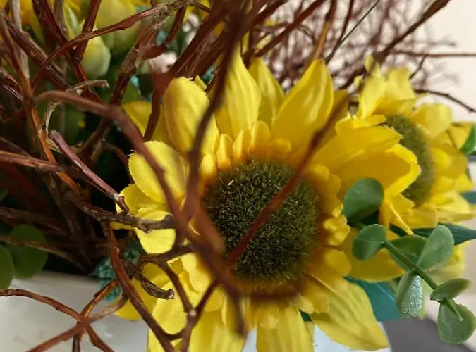 Bakel Gerard Lejlighed