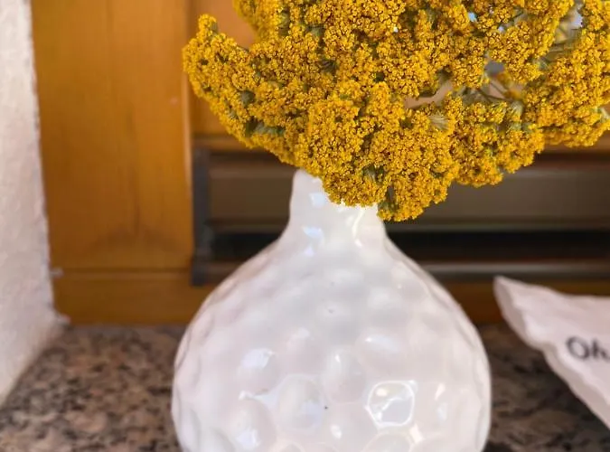 Lejlighed Bakel Gerard *