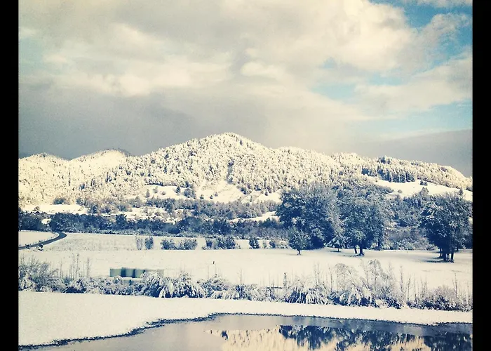 Lejlighed Bakel Gerard